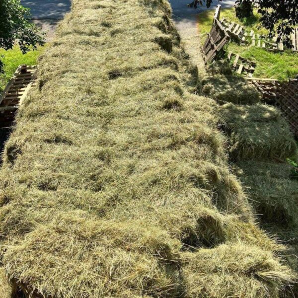 Rye Grass Straw