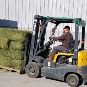 EXPORT HAY