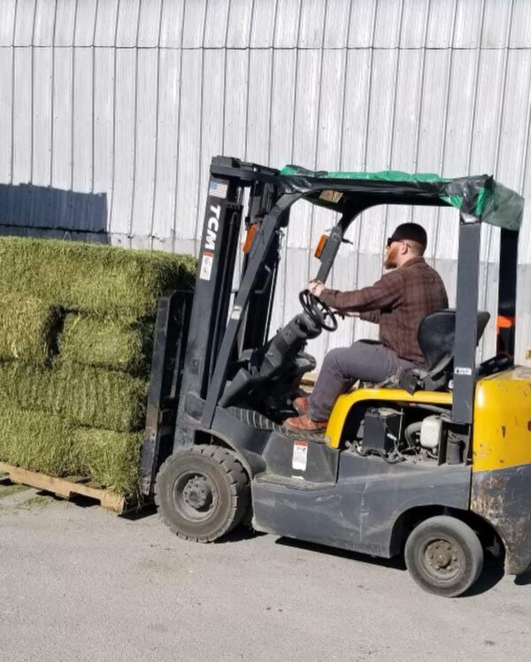 EXPORT HAY